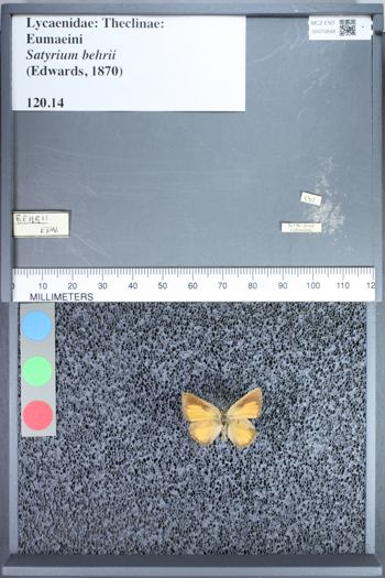 Media type: image;   Entomology 70848